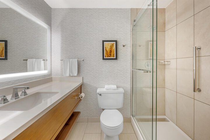Bathroom shower