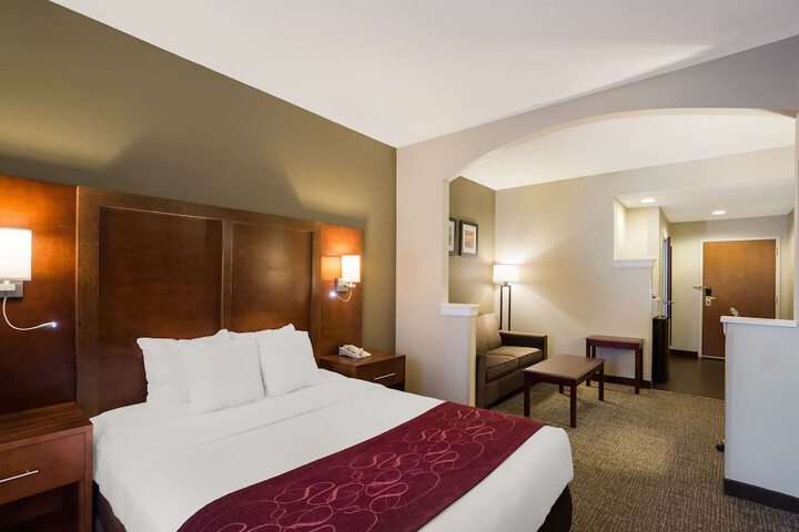 1 King Bed Suite (7 of 25)