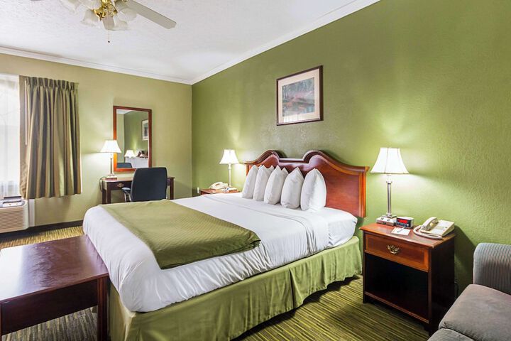 1 King Bed (2 of 9)