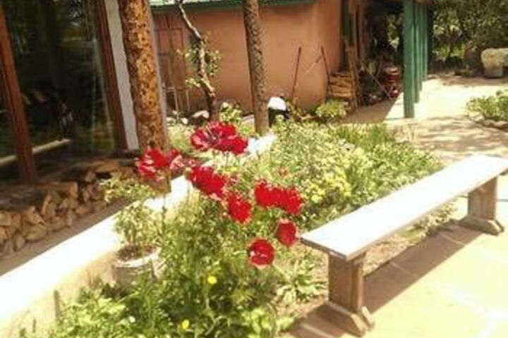 Terrace/Patio 29 of 30