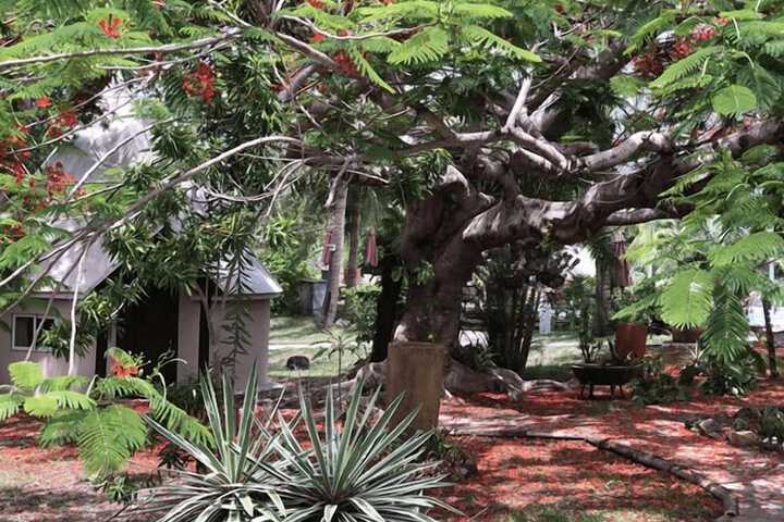 Property Grounds 26 of 26