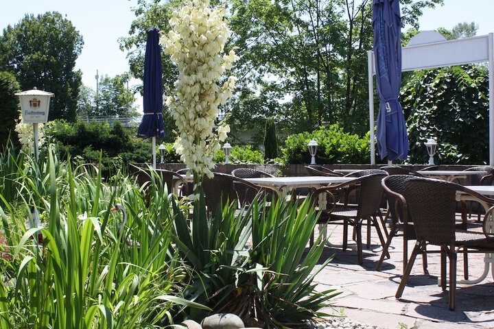 Terrace/Patio 36 of 42