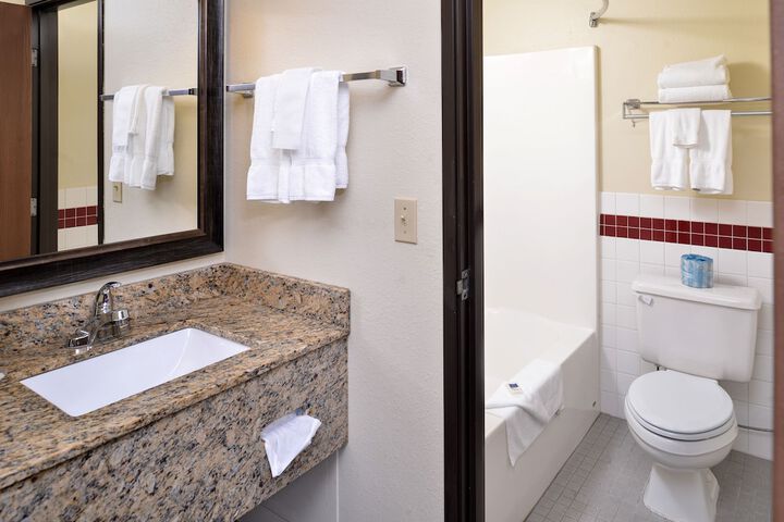 2 Queen Beds Mobility Accessible Deluxe Room Roll in Shower (9 of 11)