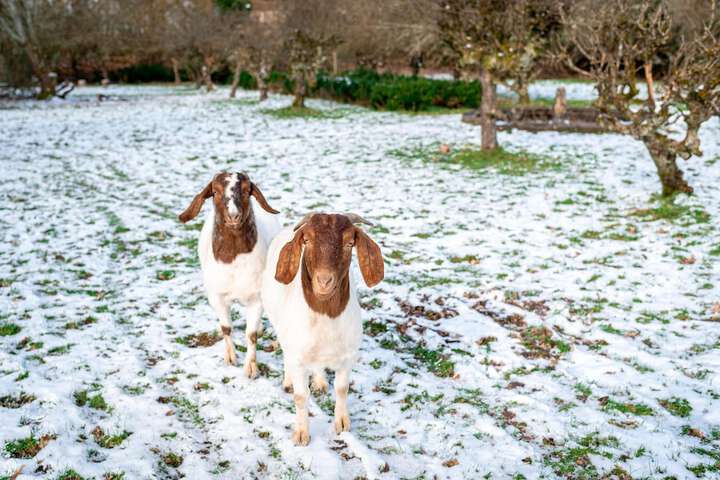 Hotel Interior 62 of 141