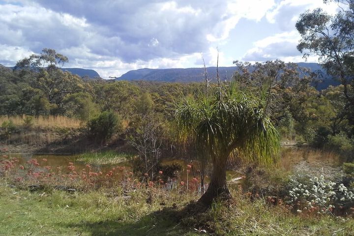 Property Grounds 22 of 33