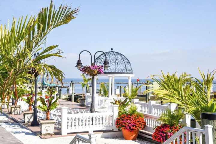 Outdoor wedding area