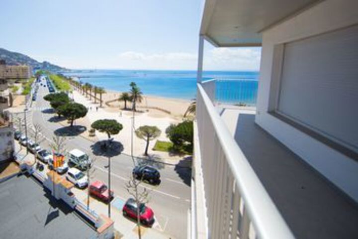 Palmeras 2.2 2.5