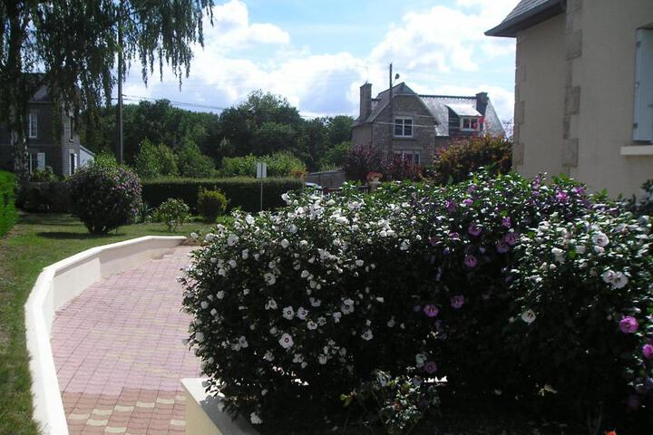 Les Hortensias