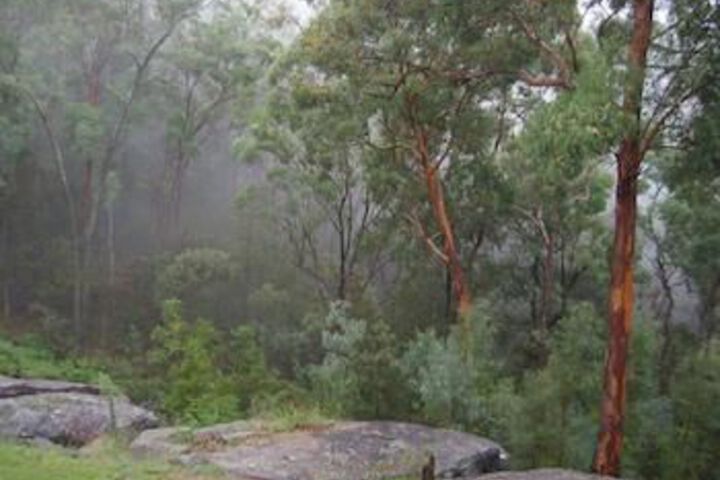 Property Grounds 10 of 11