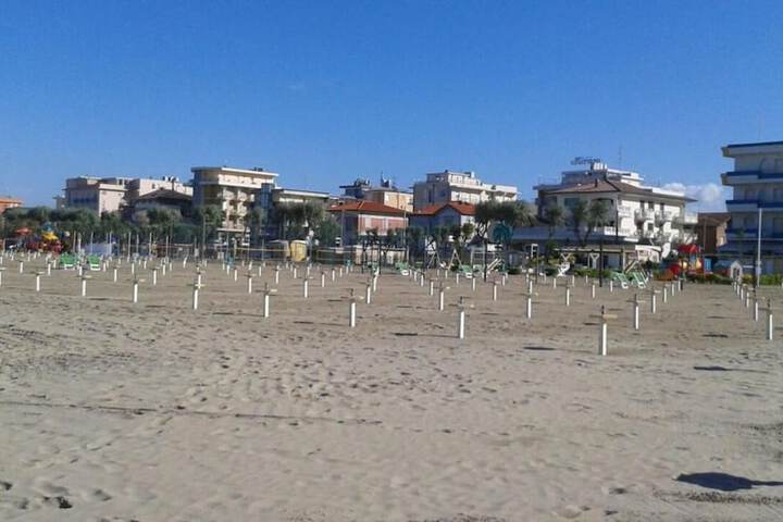 Beach 50 of 54