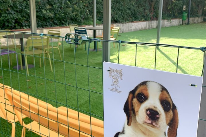 Pet Friendly 45 of 79