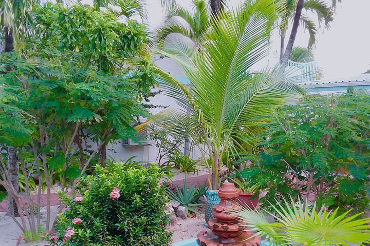 Terrace/Patio 21 of 48