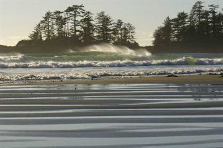 Beach 14 of 56