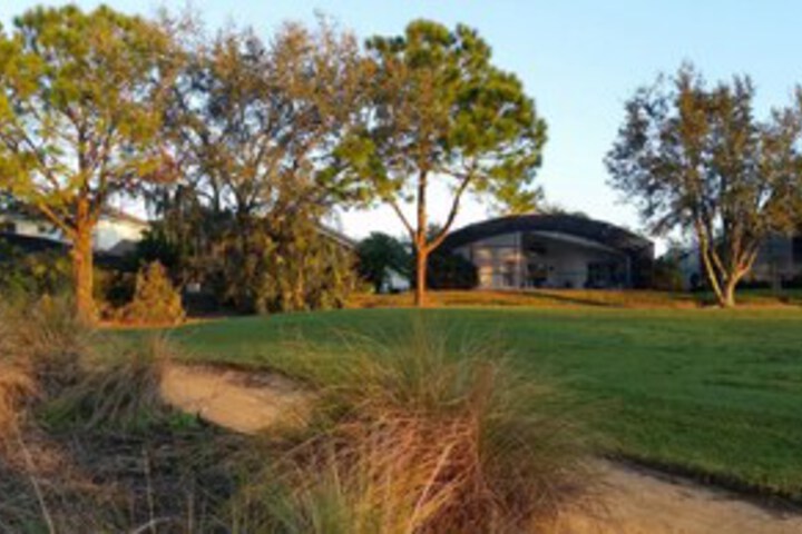 Photo of Southern Dunes - 1618 Forest by Fairytale VR