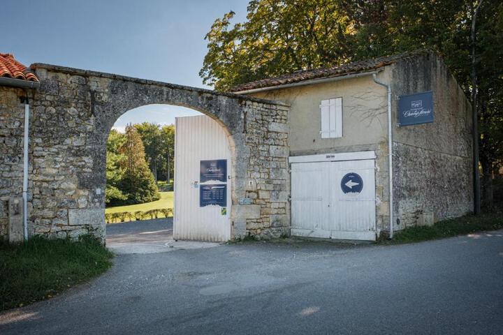 Photo 16