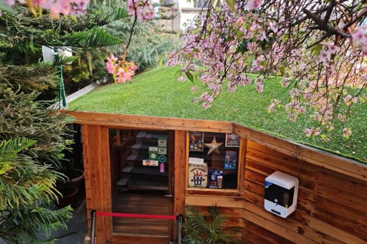 Photo 16