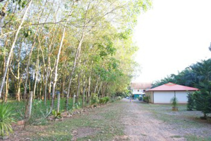 Property Grounds 15 of 28