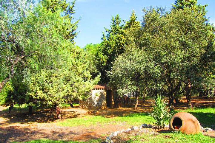 Property Grounds 15 of 39