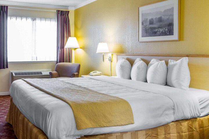 1 King Bed (13 of 18)