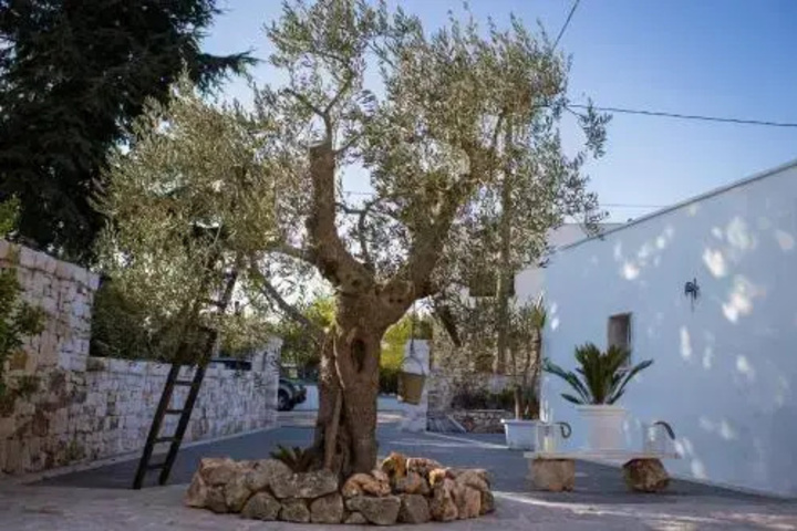 Residenze Nei Trulli