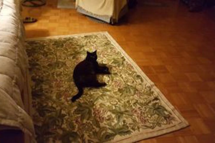 Hotel Interior 76 of 126