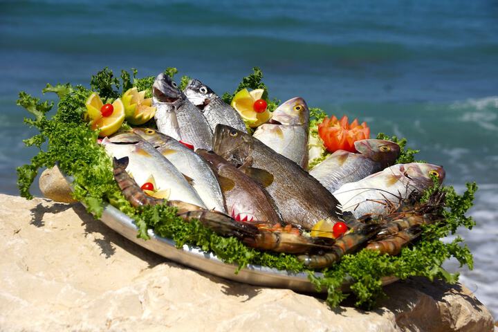 Dining 51 of 192