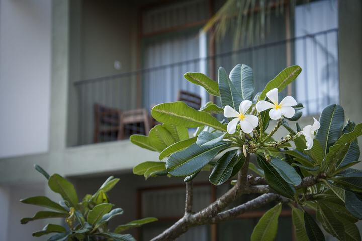 Hotel Exterior 56 of 60