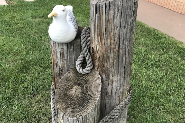 Property Grounds 12 of 18