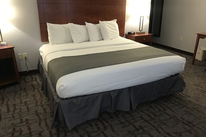 Deluxe Suite King Bed (12 of 30)