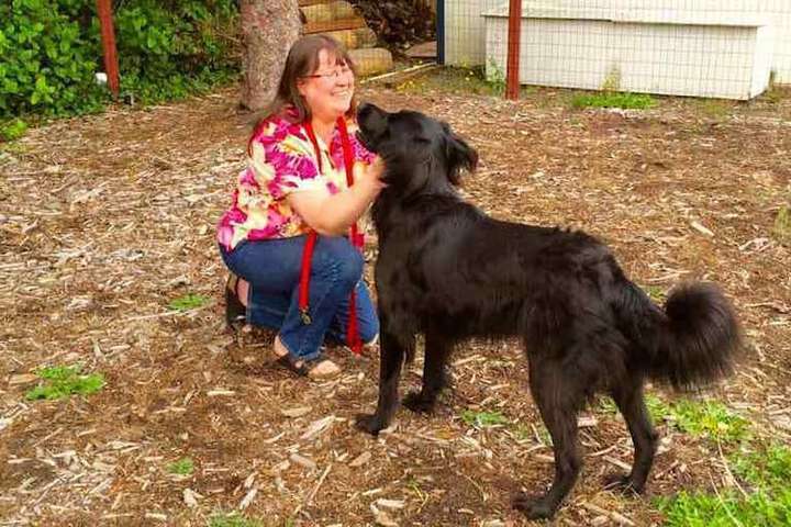 Property Grounds 31 of 43