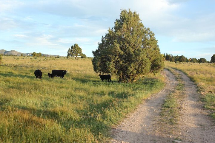 Property Grounds 49 of 54