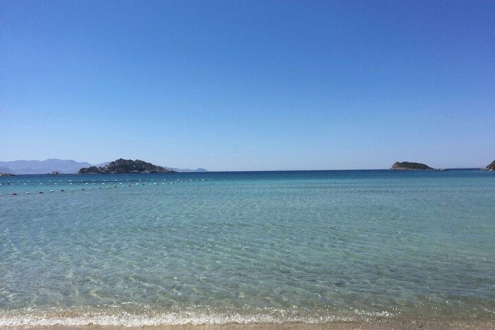 Beach 54 of 73