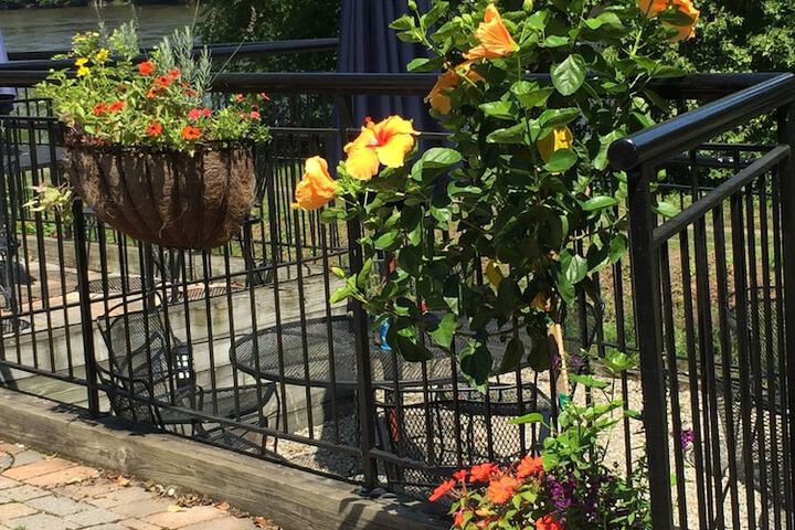 Property Grounds 58 of 73