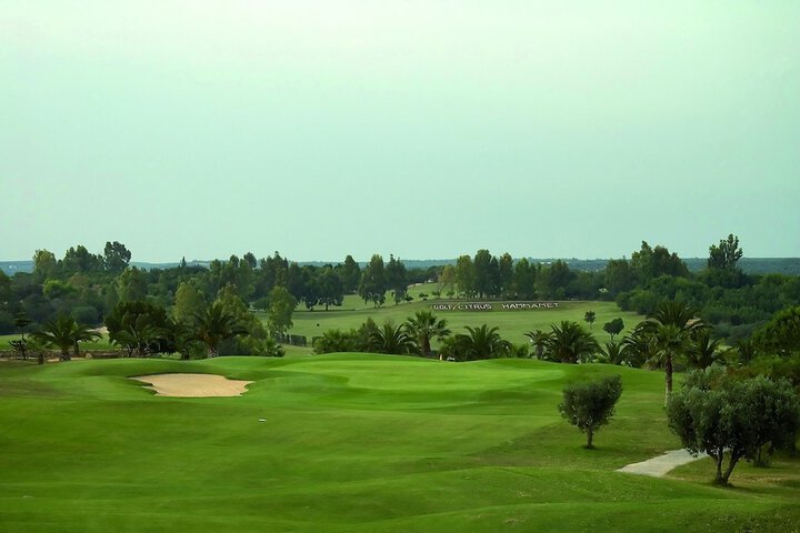 Golf 37 of 88