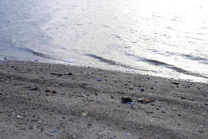 Beach 68 of 79