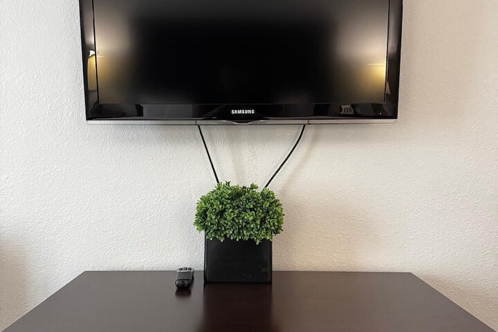 Television