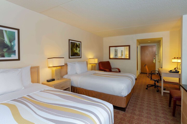 1 King Bed (2 of 4)