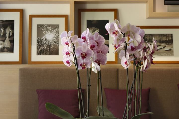 Hotel Interior 31 of 37