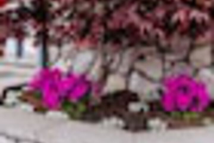 Terrace/Patio 92 of 102