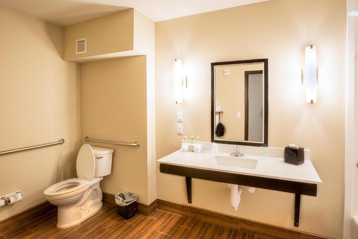 Standard Room, King or Two Doubles (2 of 2)