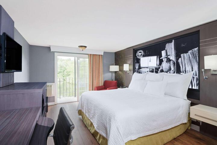 1 King Bed Accessible (7 of 31)