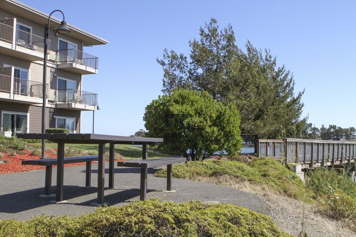 BBQ/picnic area