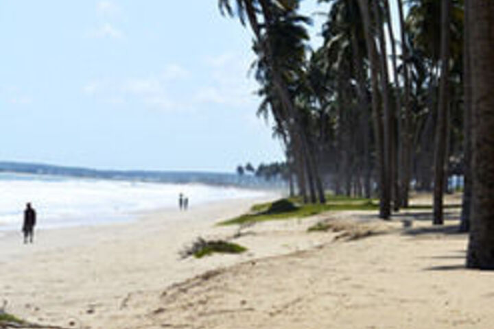 Beach 9 of 51