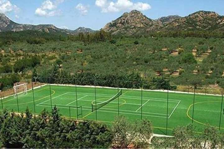 Sport court