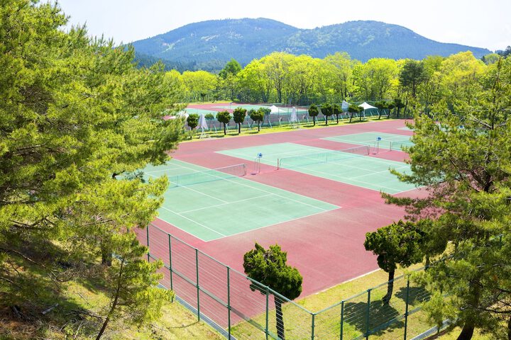 Tennis and Basketball Courts 23 of 76