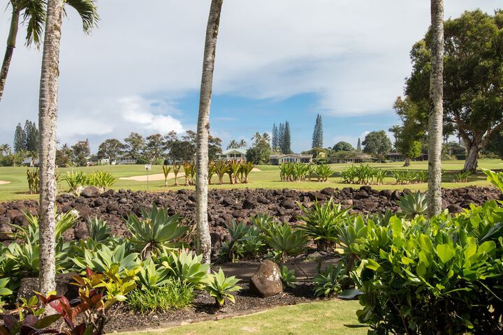 Emmalani Court 312 in Princeville, HI