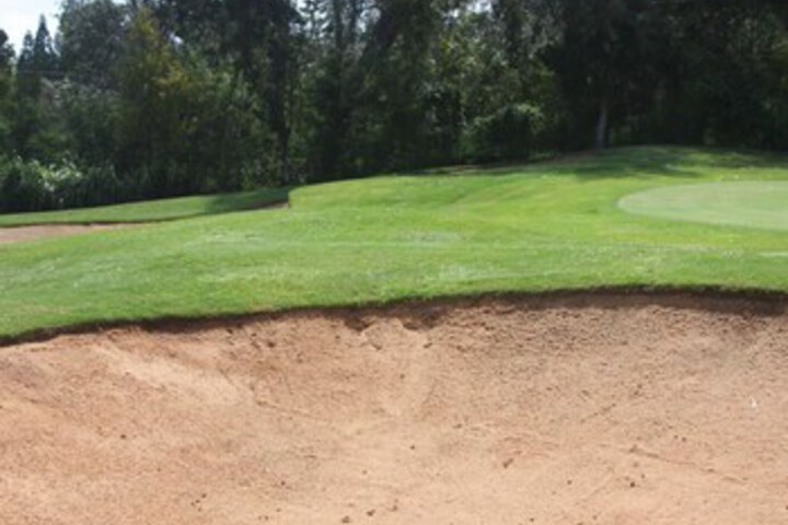 Golf 23 of 47
