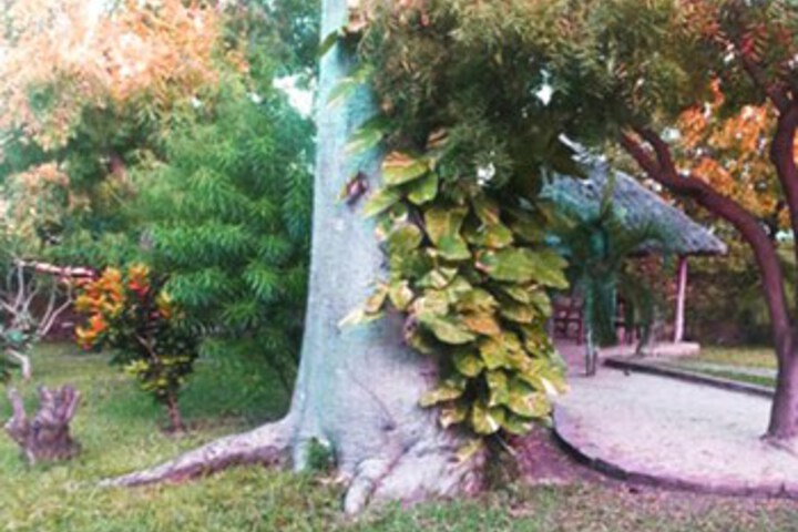 Property Grounds 4 of 11