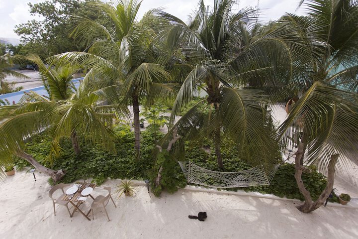 Hotel Exterior 104 of 105