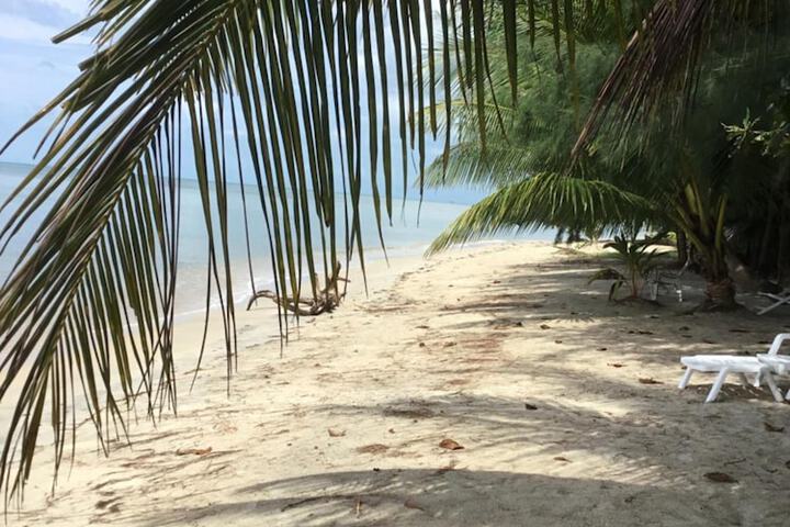 Beach 38 of 55
